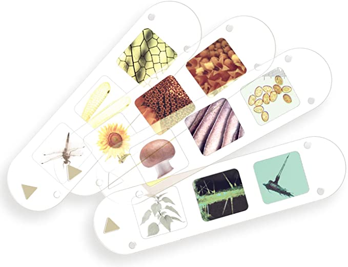 Big & Fun Microscope