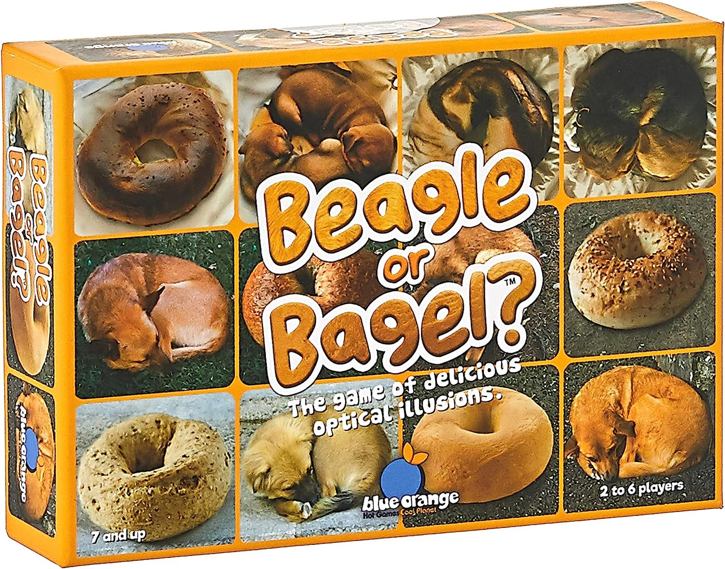 Beagle or Bagel