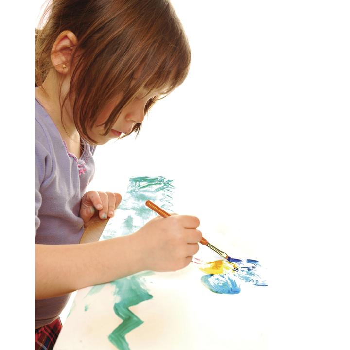 Young Artist Learn To Paint Set